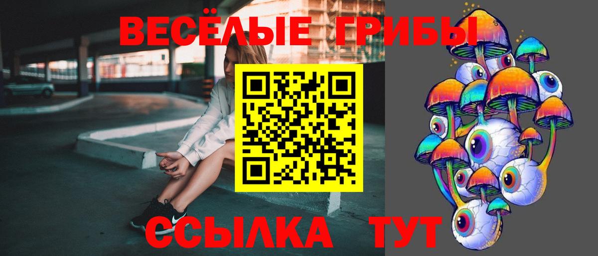 Комсомольск-на-Амуре  Галлюциногенные грибы Cubensis  Вход с VPN 